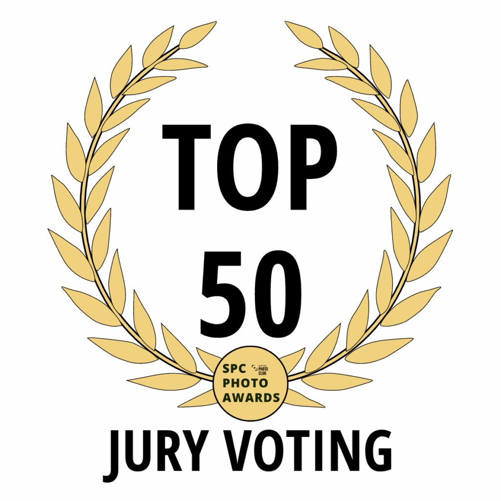 Ausstellung Strzelski Galerie Stuttgart – Swiss Photo Club Top 50 Award