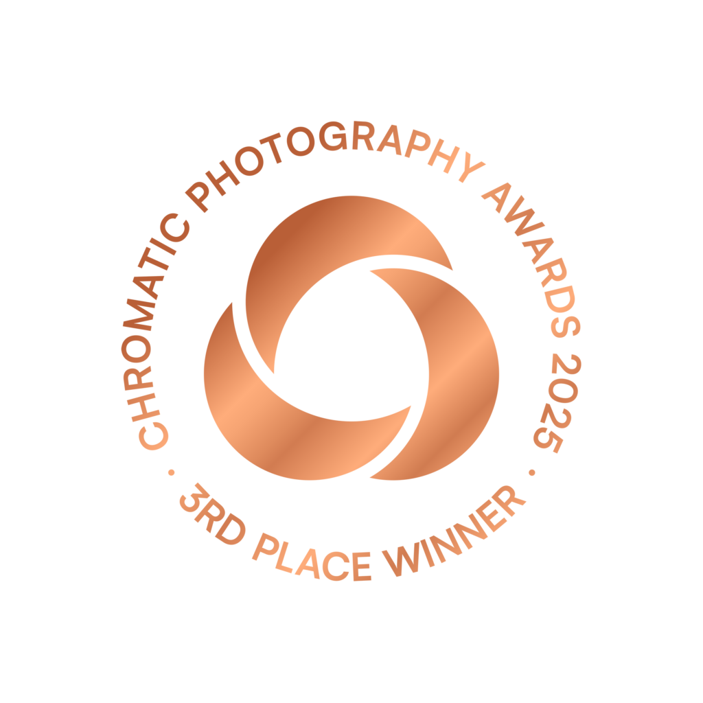 Chromatic Photography Awards 2025 Bronze Award 3rd Place Architecture für „Light in the Grid“ von Francesco Calarota